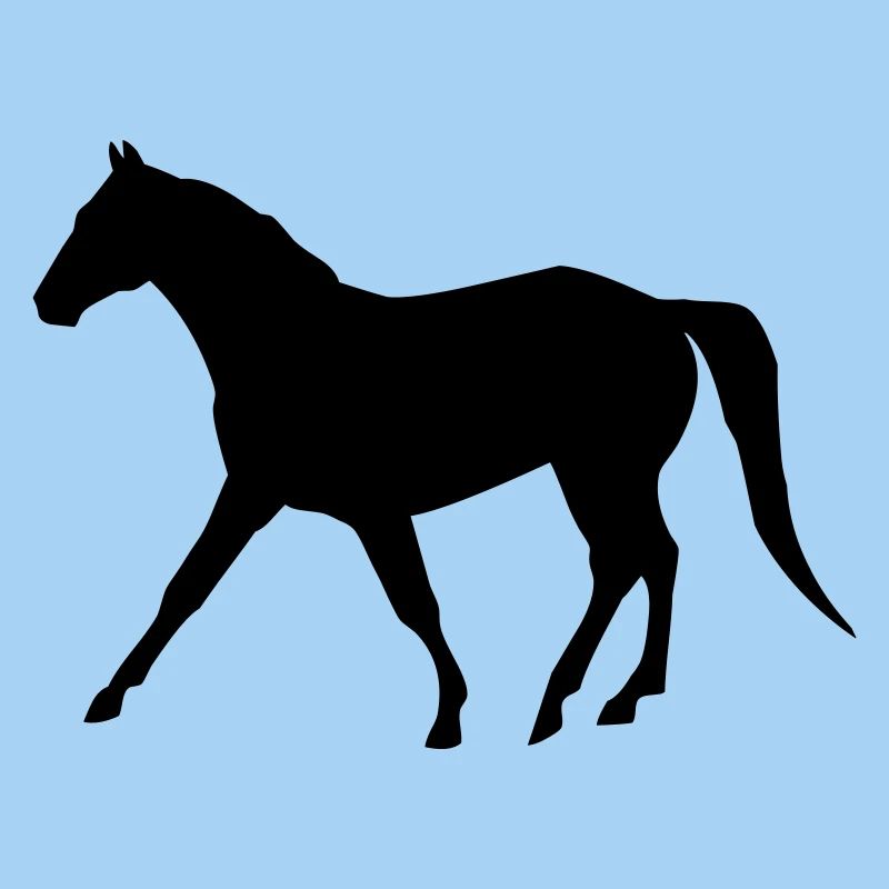 pferd