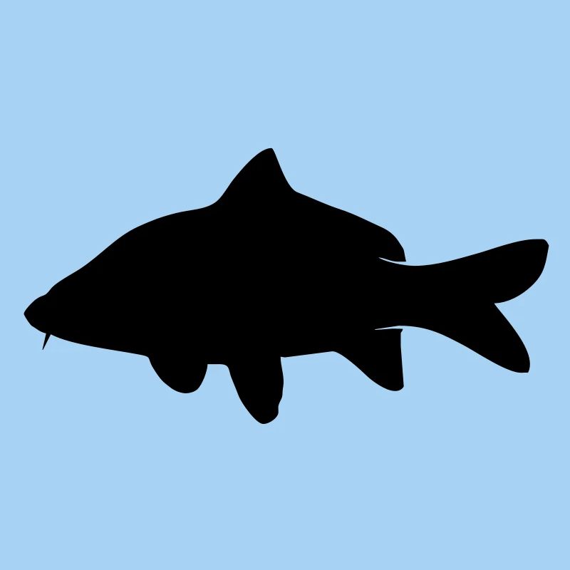Carp