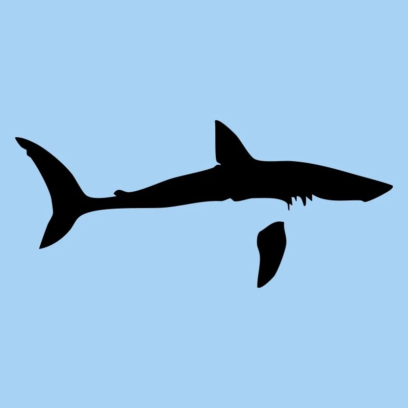 shark shark shark