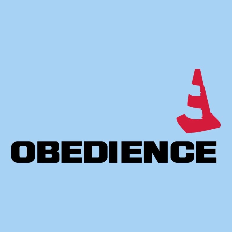 Obedience mit Pylone
