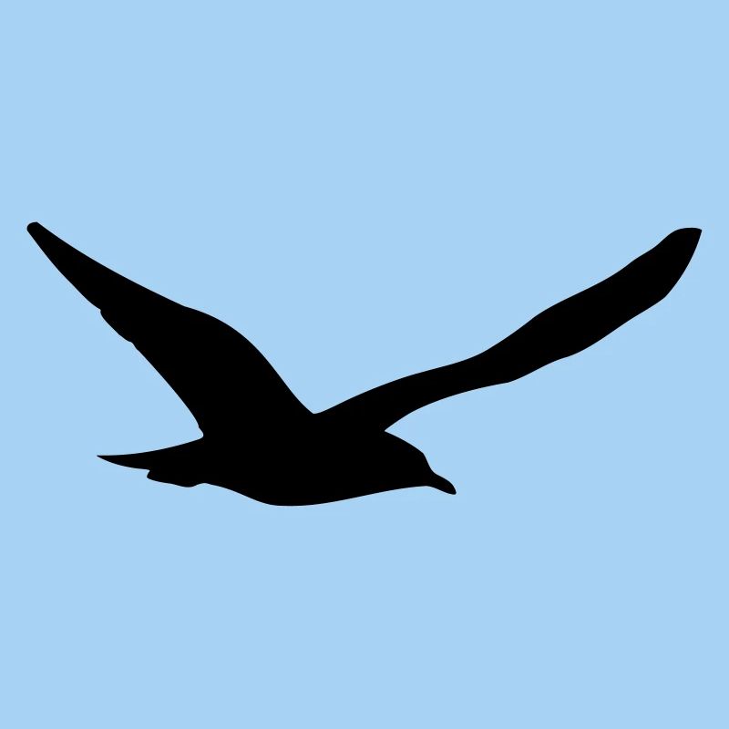 Möwe
