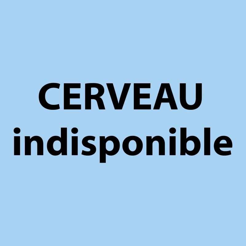 CERVEAU indisponible