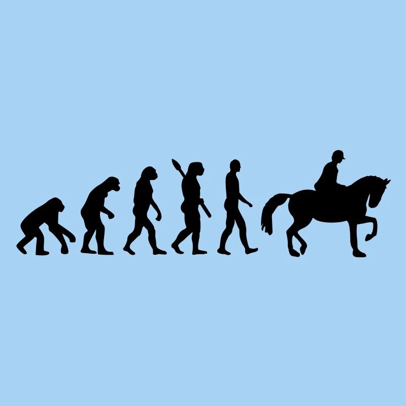 Reiten