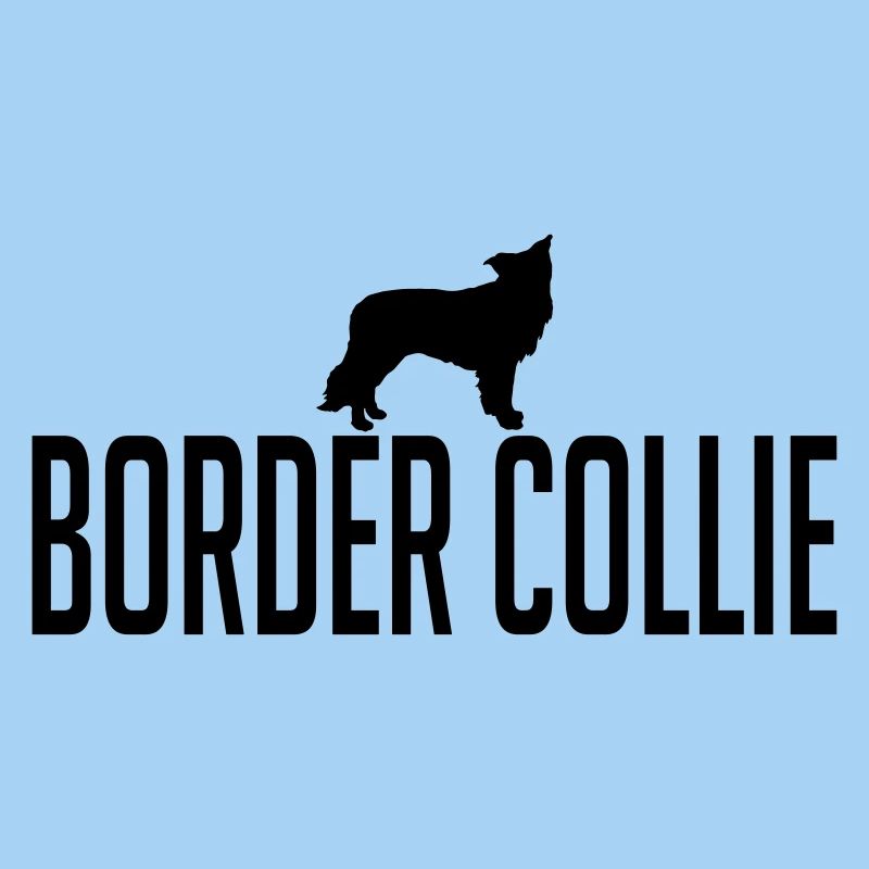 BORDER COLLIE Hunderasse