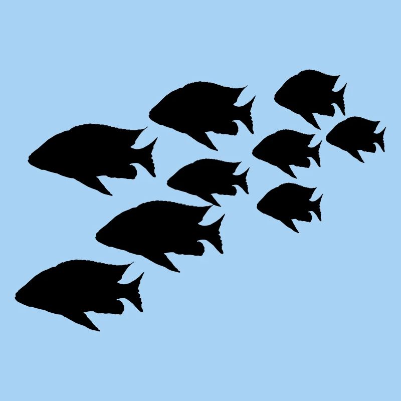 shoal
