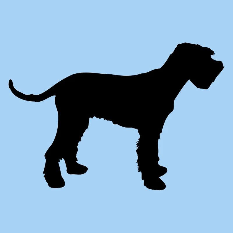schnauzer géant
