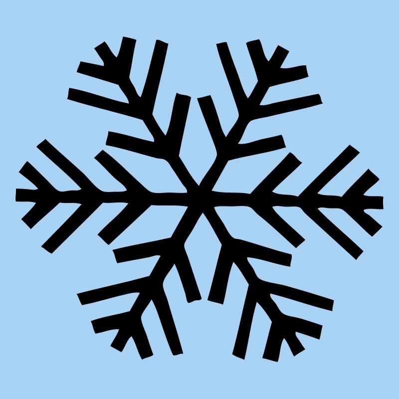 neige flocon de neige
