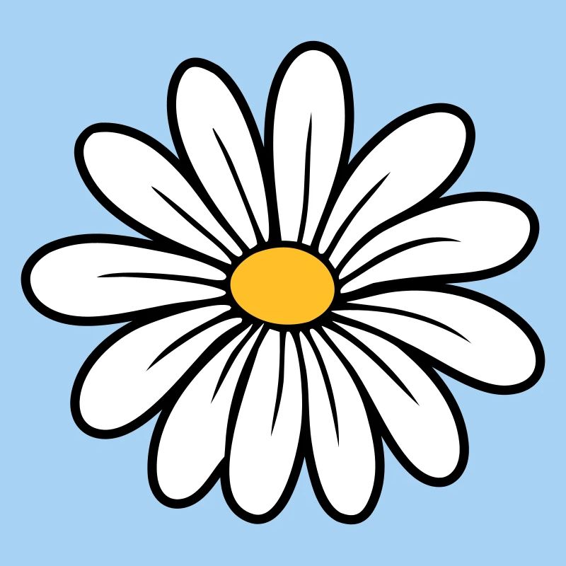 Gänseblümchen