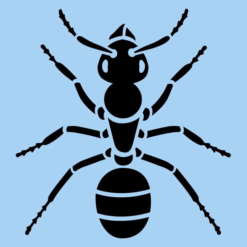 Insectes - Ant