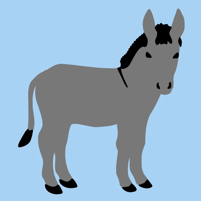 Donkey