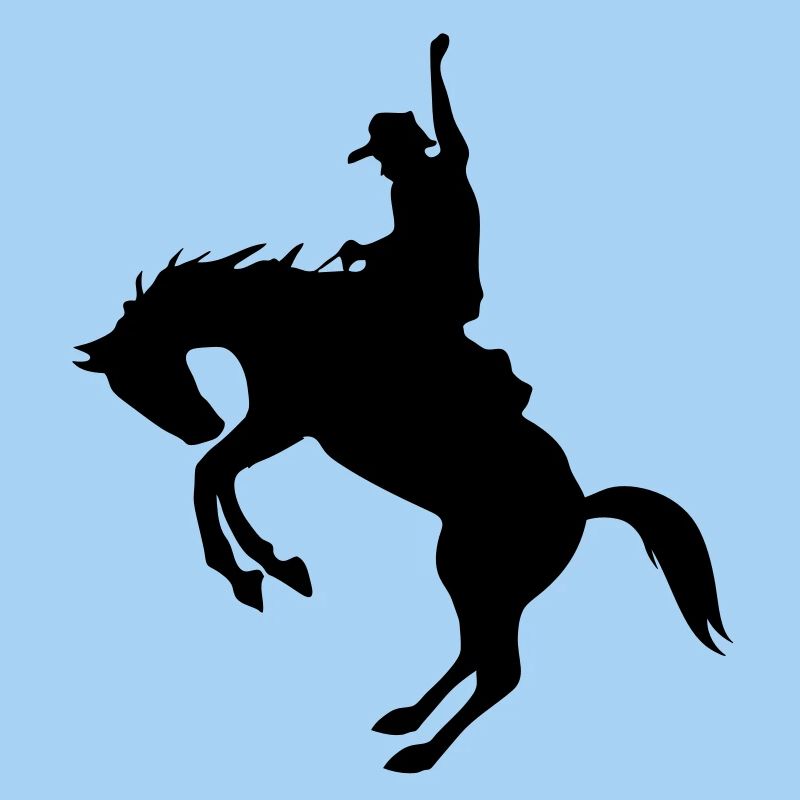 Rodeo de