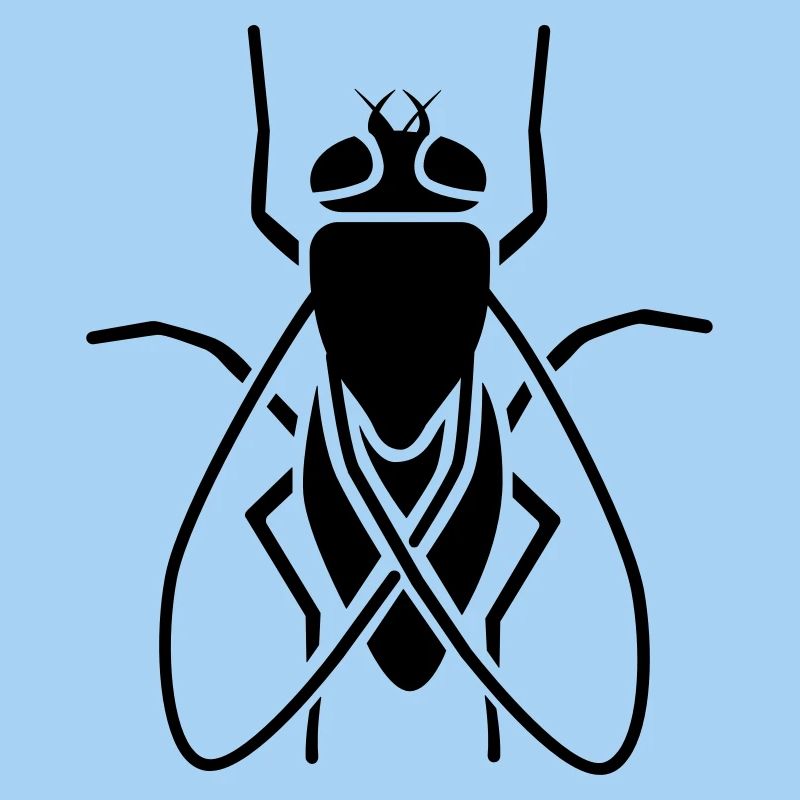 Insectes - Fly