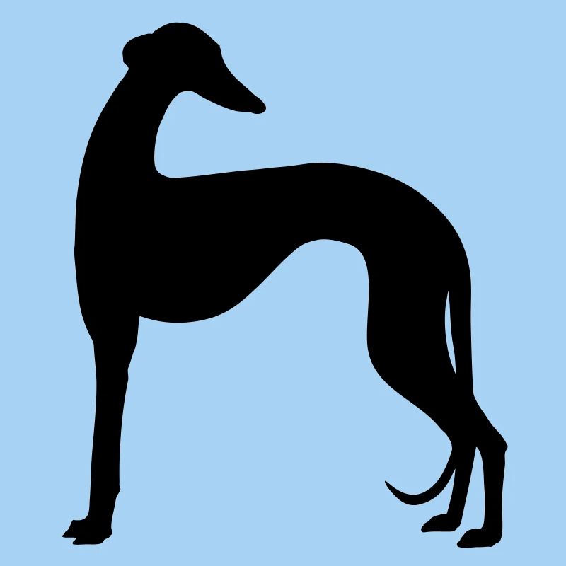 shape2 galgo
