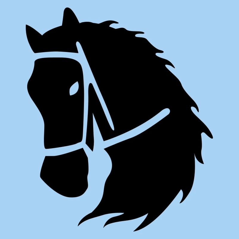 équitation