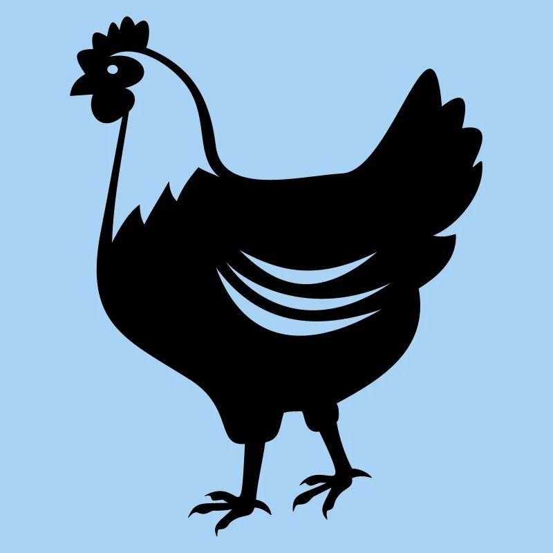 Poulet - Poule