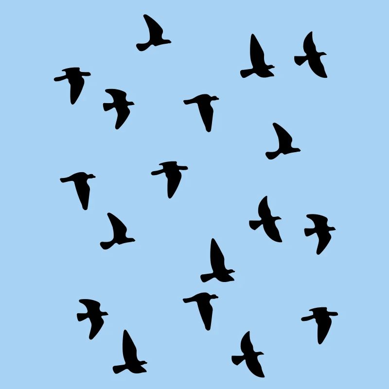 Bird Flock