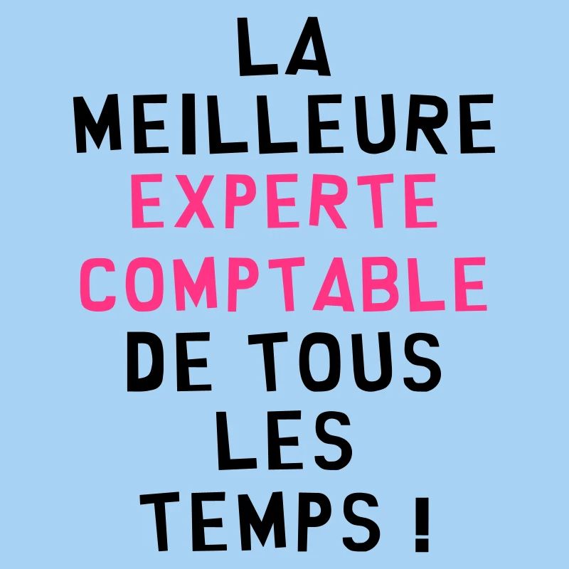 Expert Comptable / Comptabilité / Comptable /