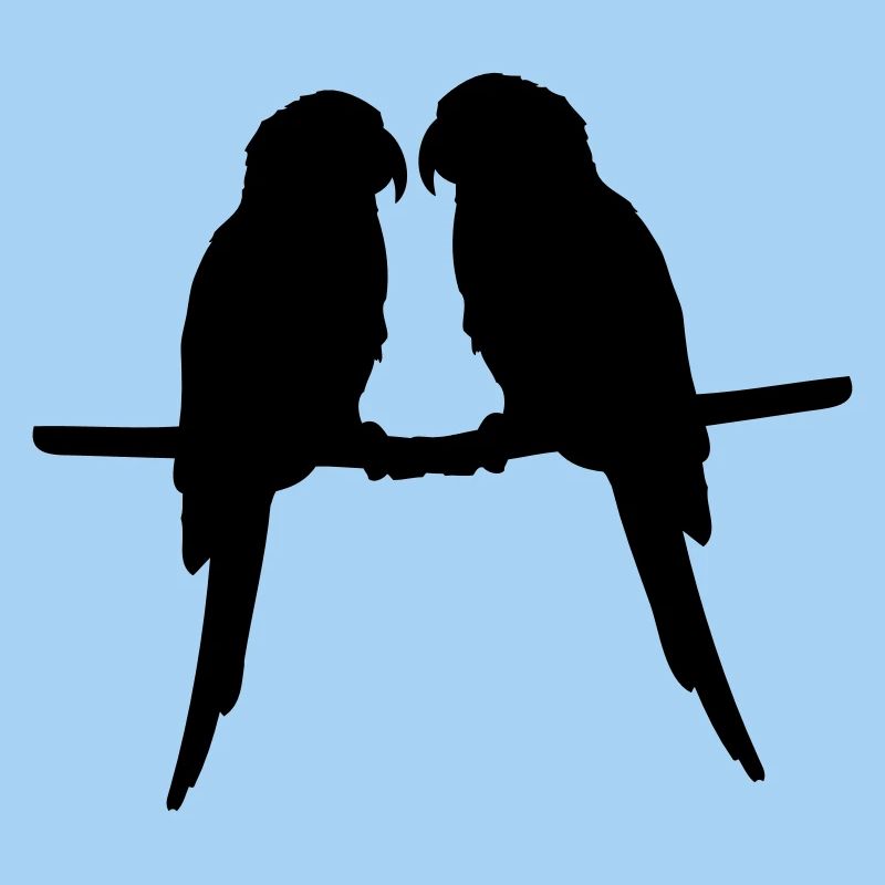 Perroquets quelques oiseaux