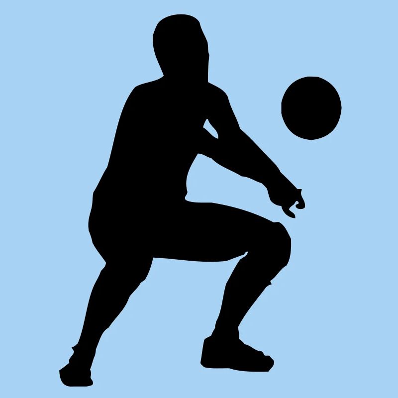 volleyball bagger