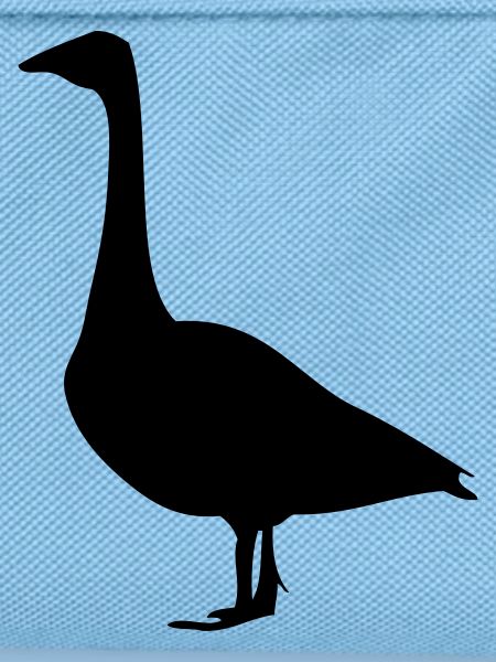 Gans