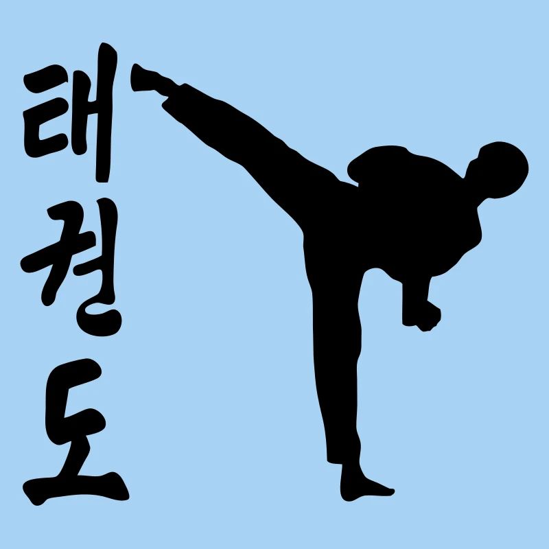 taekwondo high kick coup de pied combat