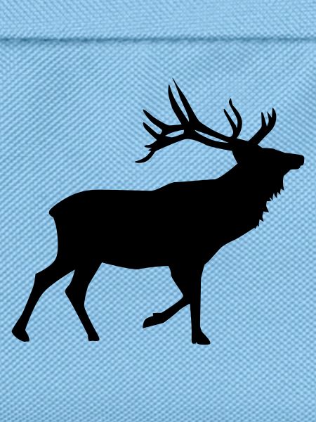 Hirsch