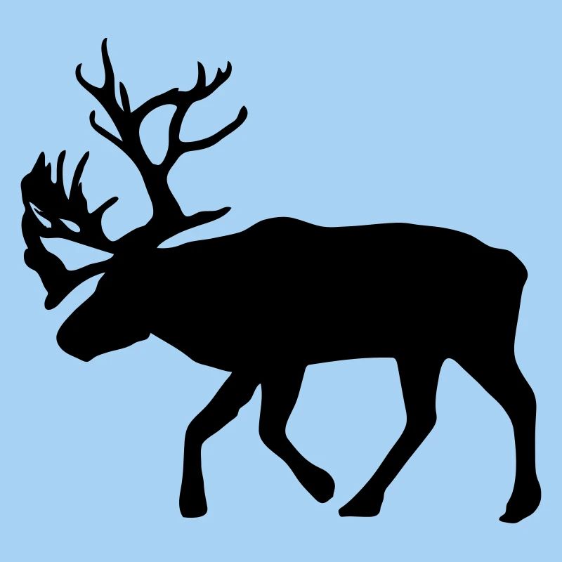 caribou - renne - noël