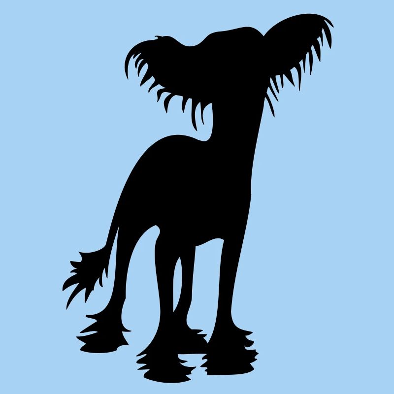 Chinese Crested