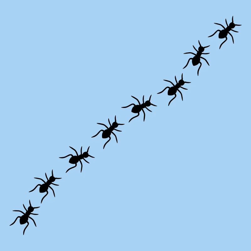 Ants