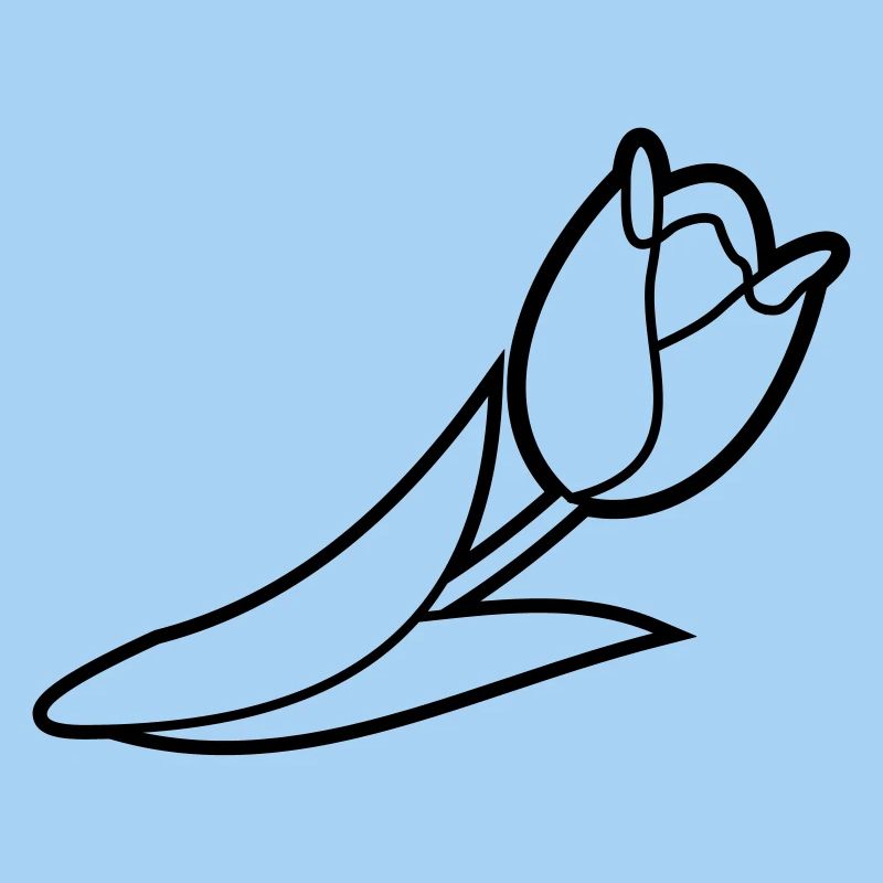Blumen: Tulpe
