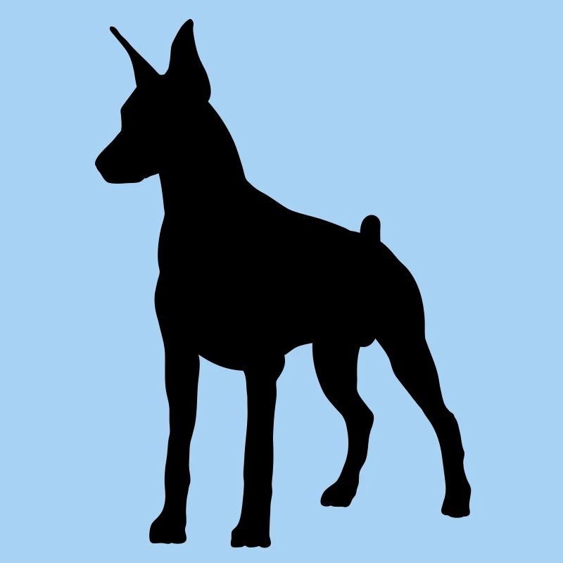 Doberman Pincher