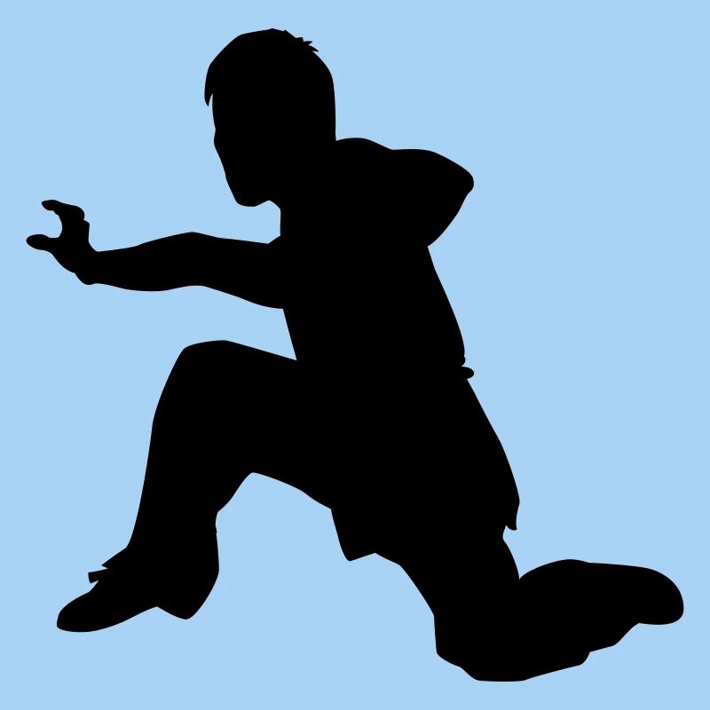 kung fu