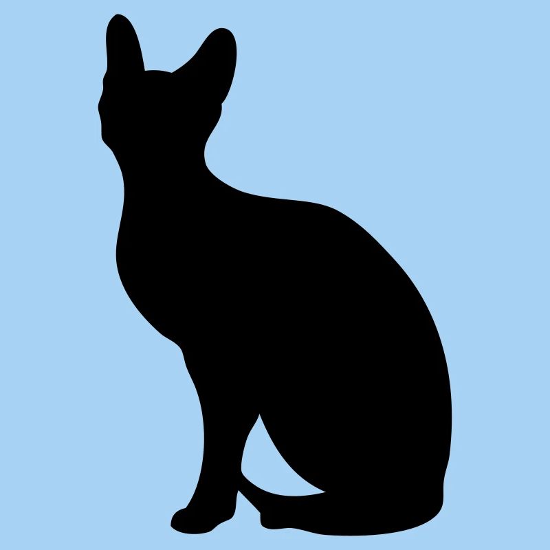 Sphynx - libre choix de la couleur
