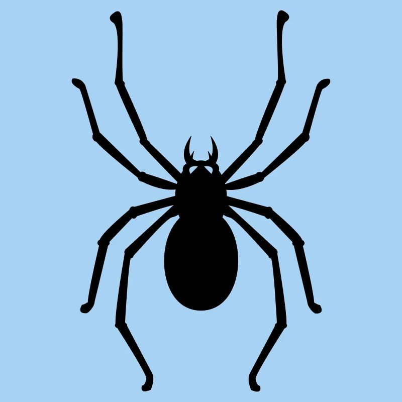 Spinne