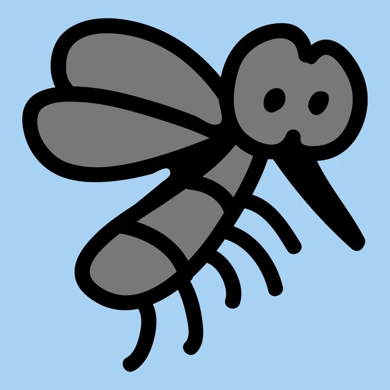 Mosquito - insect