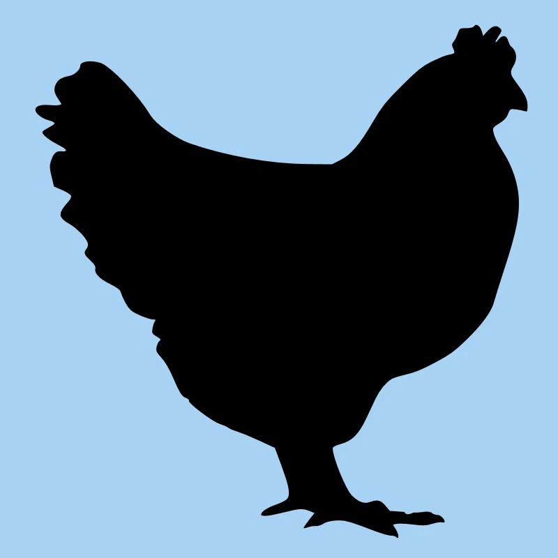 chicken
