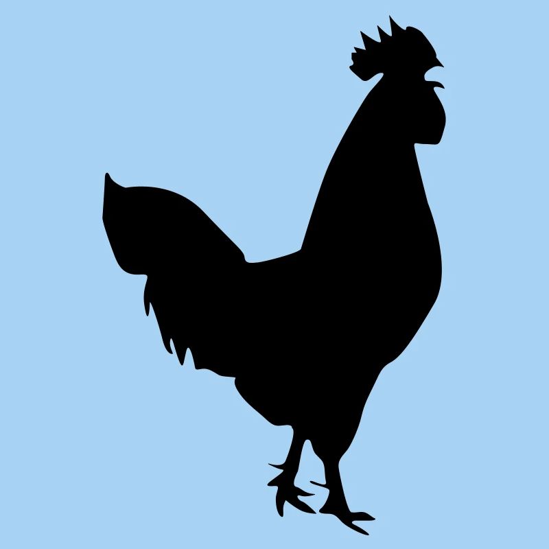 hahn silhouette design