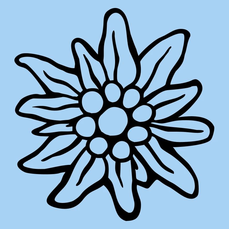 edelweiss