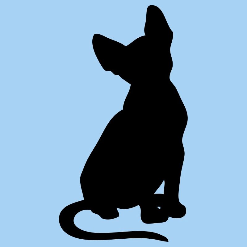 Sphynx - free color selection