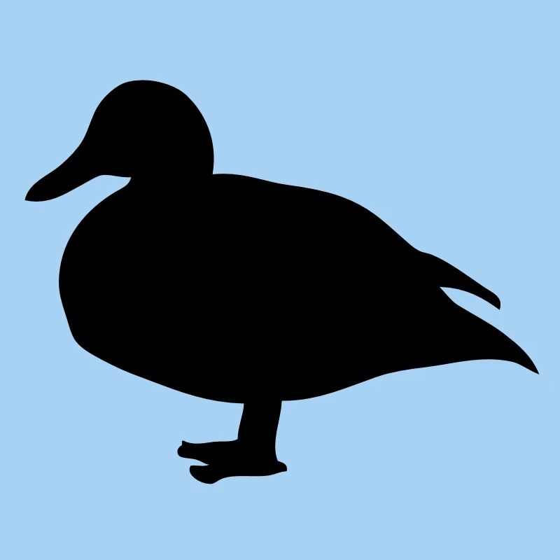 animaux fermer canard duck1