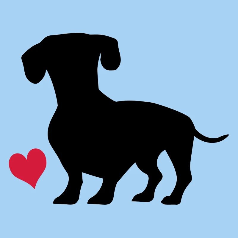 dachshund