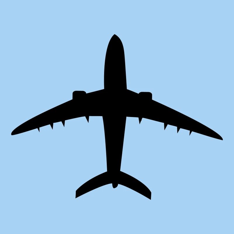 Flugzeug