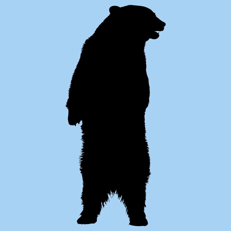 bear standing animal