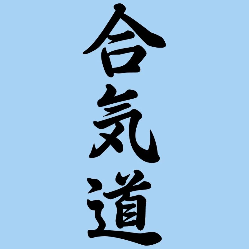 aikido snow