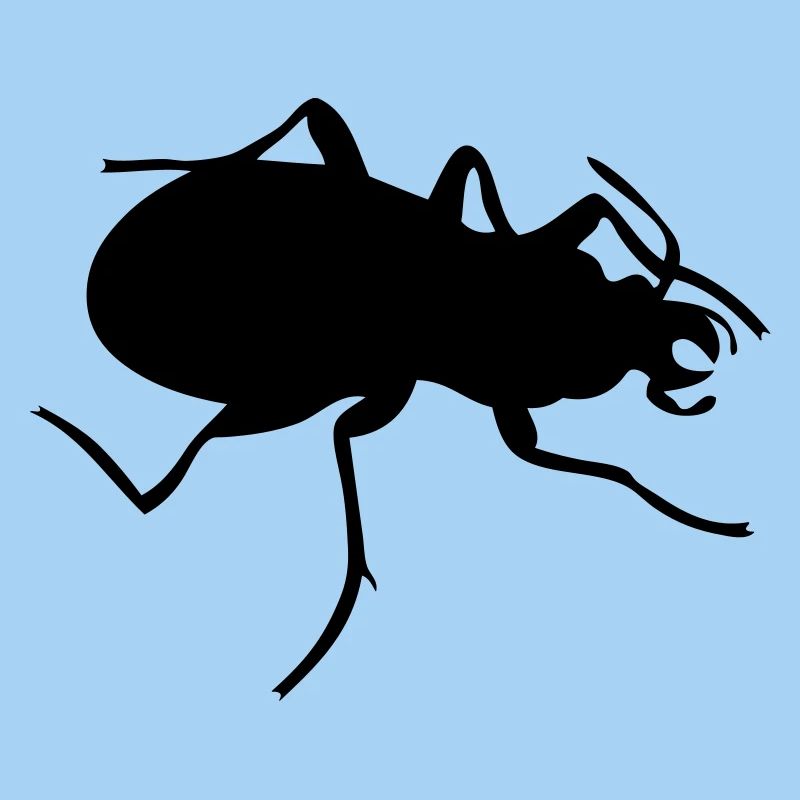 Bug