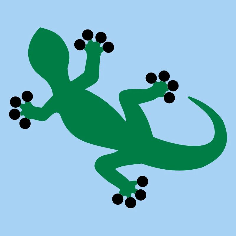 Gecko / Lizard