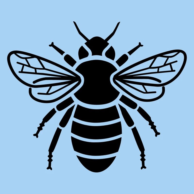 Abeille - insectes