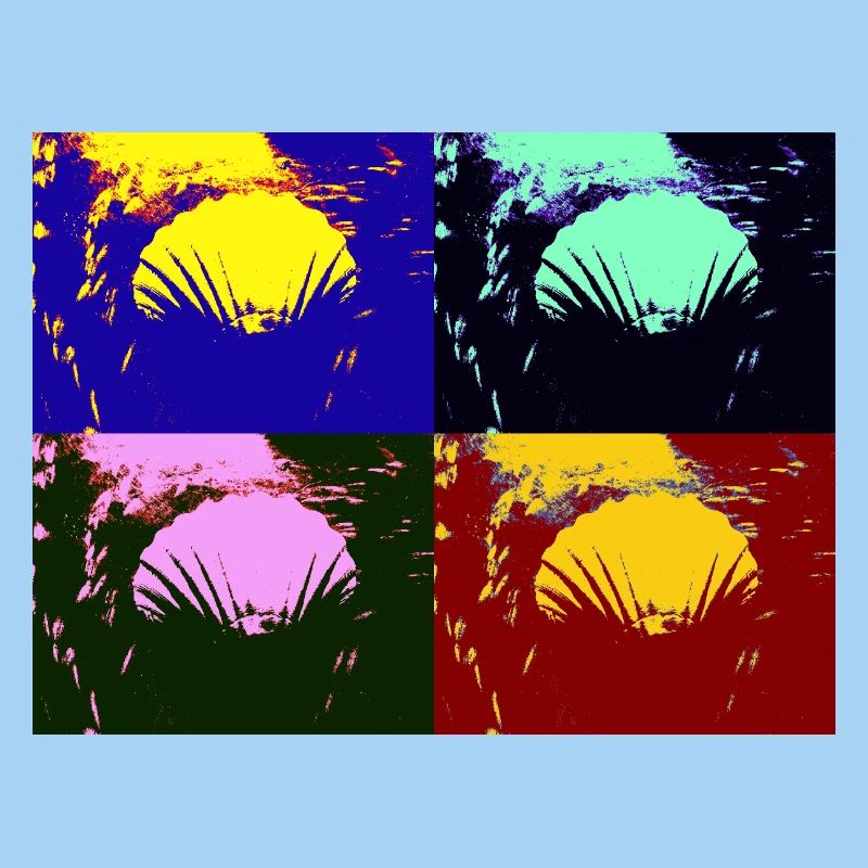 Shell