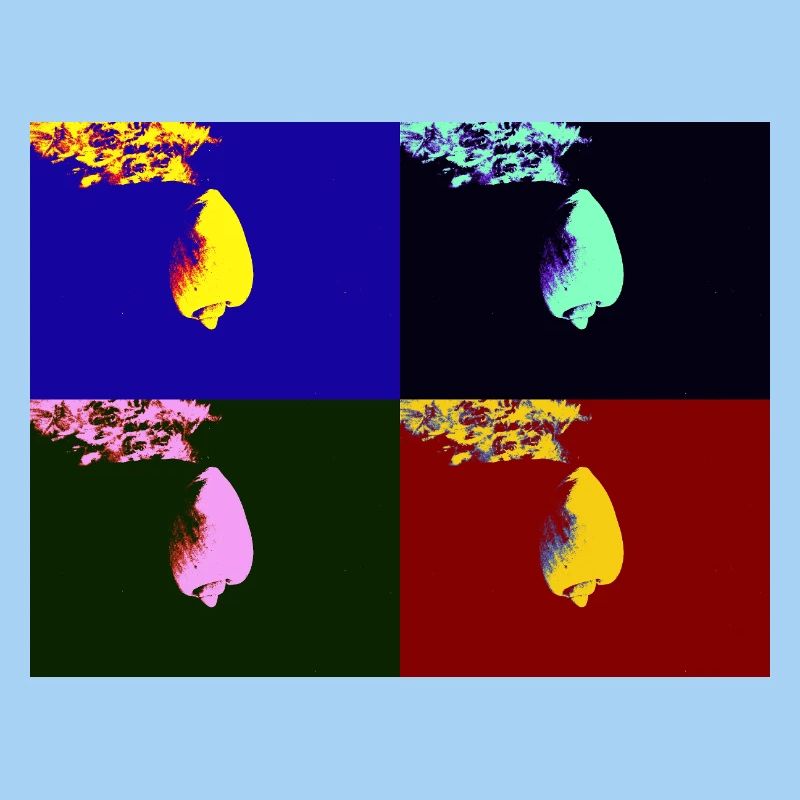 Falling shell