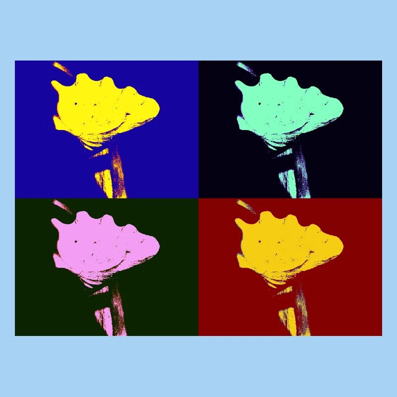 Shell Imagination